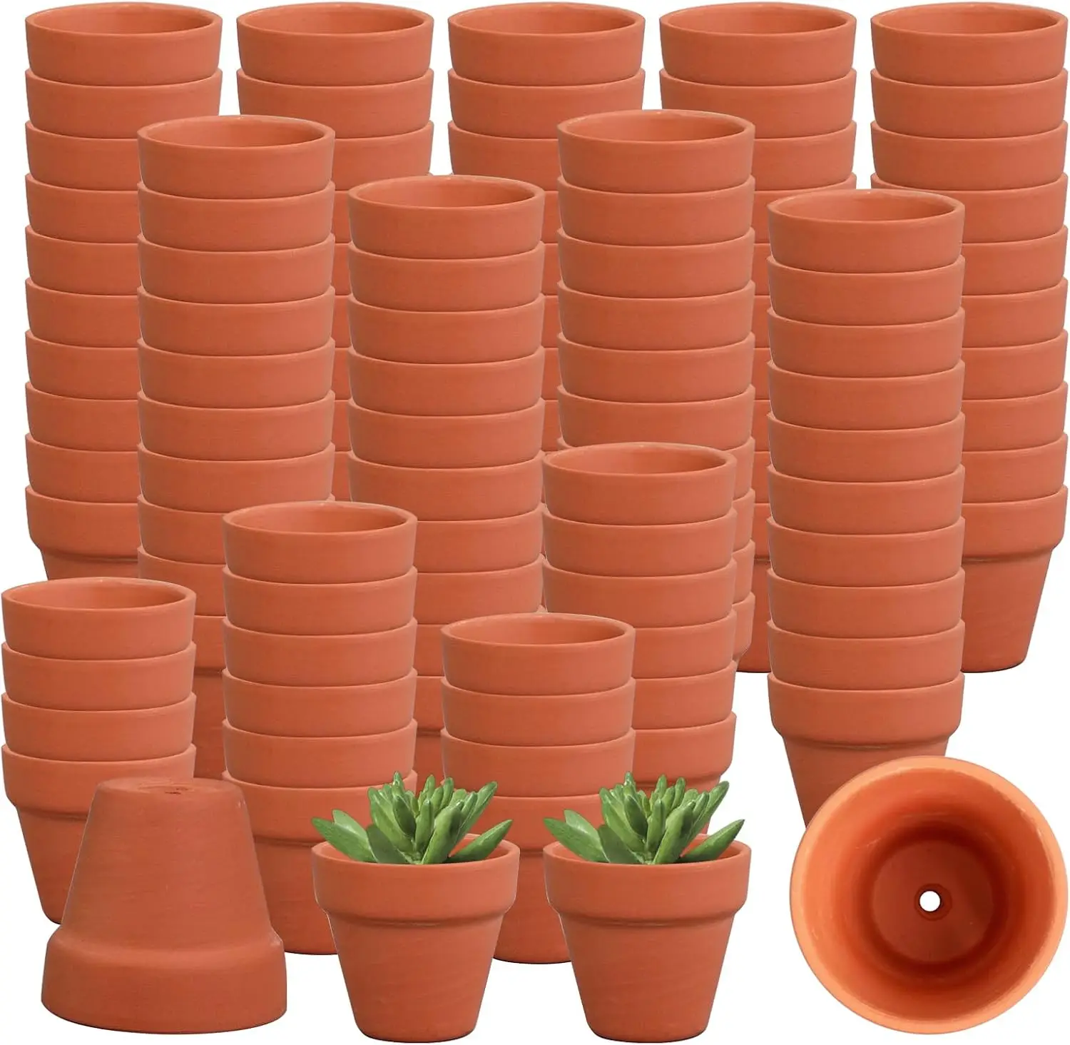 

160 Pcs Mini Terracotta Planters with Drainage Holes, 2-Inch Clay Pots Bulk for Succulents, Cactus, Flowers, Wedding, Nursery, Indoor & Outdoor Craft