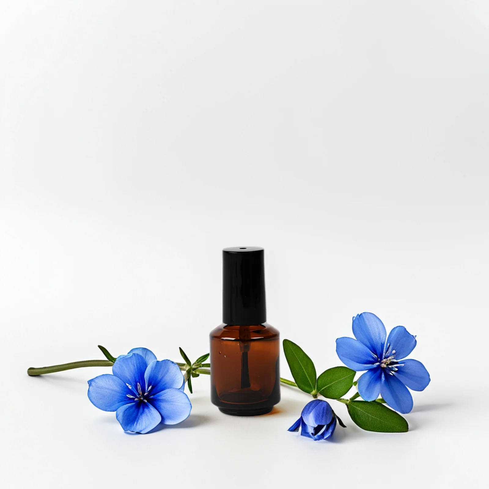 Bouteilles vides de vernis à ongles, 15 pièces, flacons rechargeables en verre de 8Ml, applicateur de brosse pour Nail Art, sérum, stockage d'huile pour cuticules, Premium