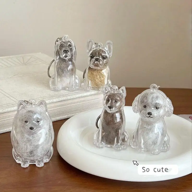 1Pcs Cute Transparent Dog Pet Fur Storage Keepsake Keychain Pendant Memorial Gift Jewelry Accessory