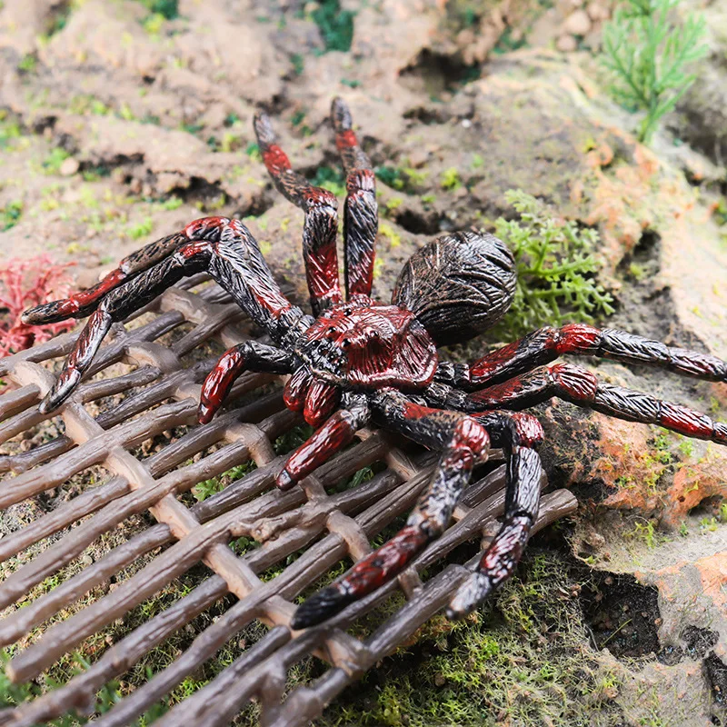 Simulation Tiere Insekt Solide Modell Spinne Tarantula Schwarze Spinne Halloween Scary Action-figuren Pädagogisches Spielzeug Für Kinder – Detail 3