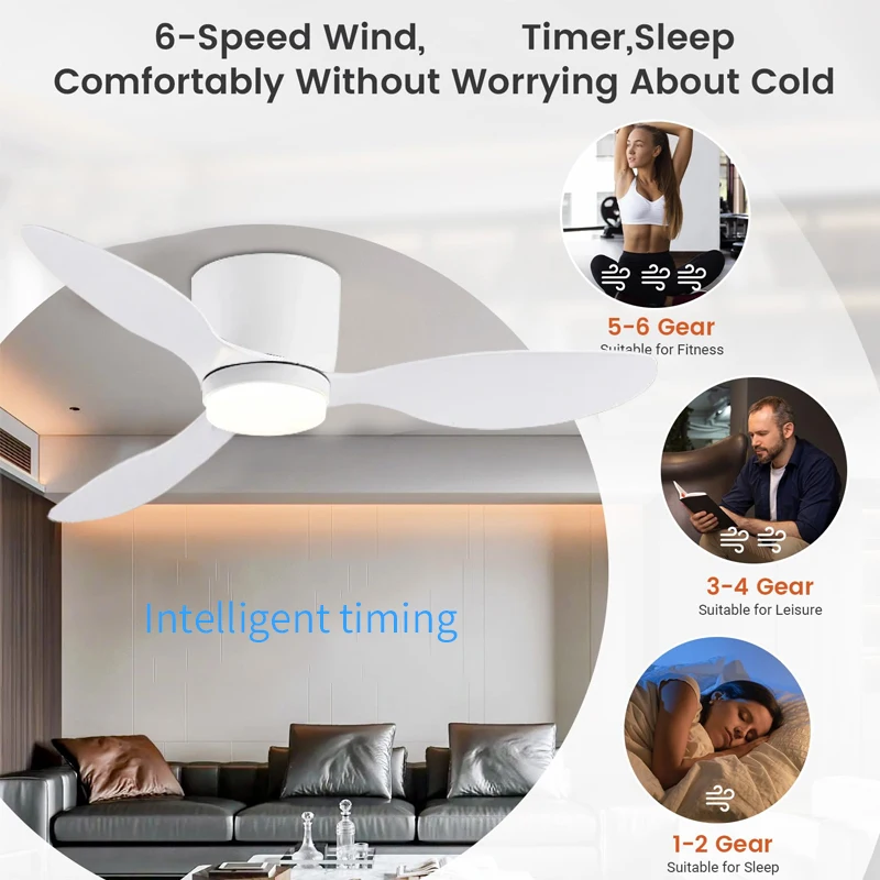 LED Ceiling Mounted Living Room Fan Light, Nordic Restaurant Decorative Ceiling Fan, Household Minimalist Electric Fan Light