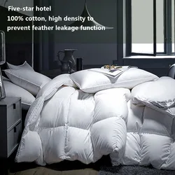 KDJEIKZ  Winter Cotton Goose Down Quilt Five-Star Hotel Duvet Super Soft Fluffy Queen King Full Size Four Seasons Duvets Blanket