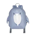 Shoebill