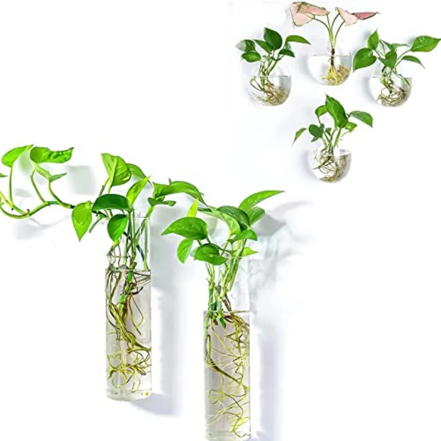 

Настенные террариумы-кашпо для выращивания растений - 2 цилиндрические и 4 яйцевидные стеклянные вазы