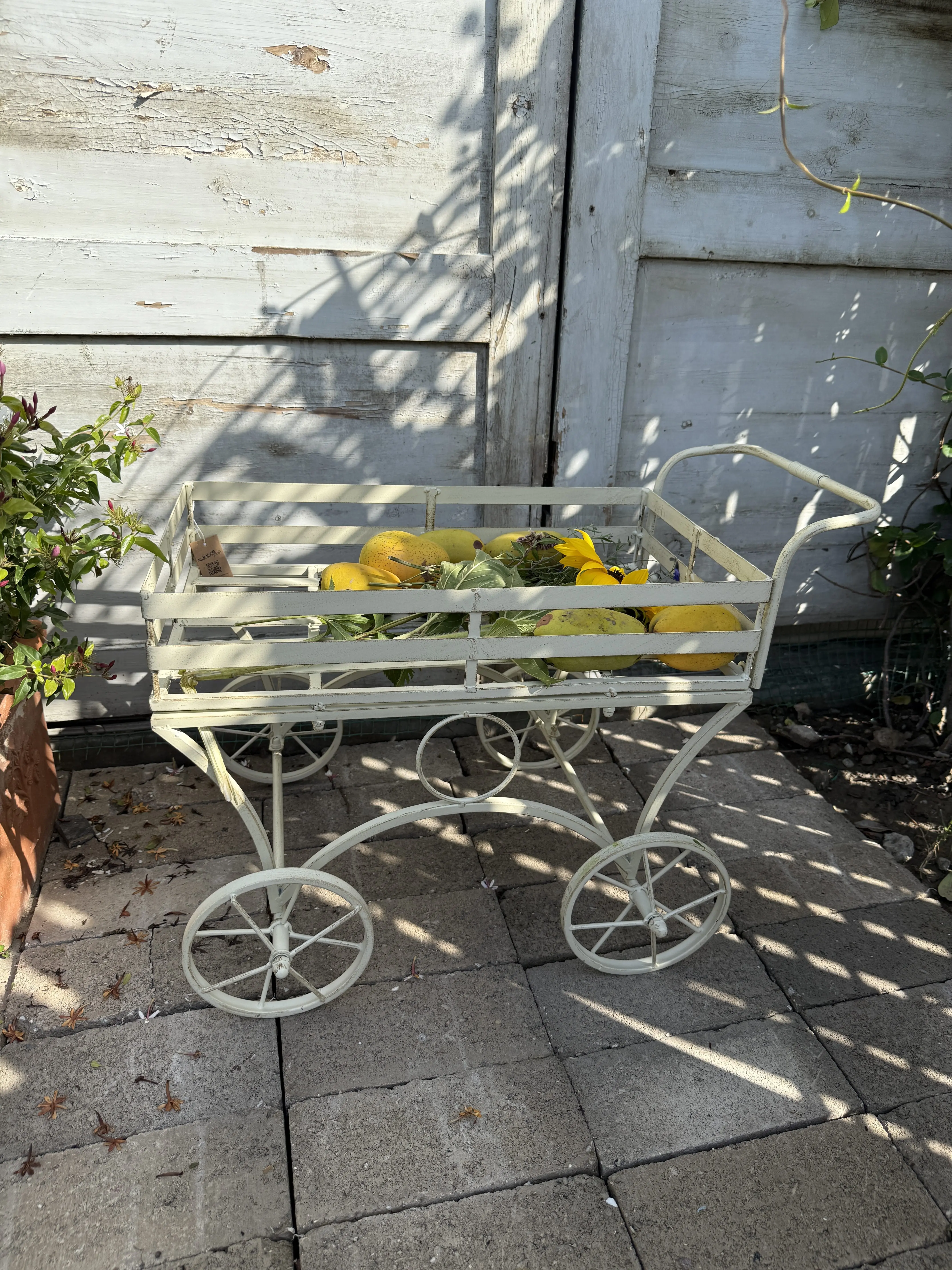 Garden grocery orders can be smoothly pushed and pulled, float cart, tool plant planting