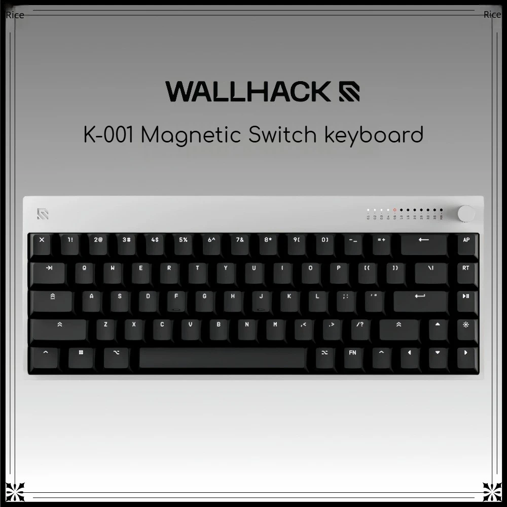 WALLHACK K-001 Hall Effect Magnetic Switch Keyboard Wired Single-mode Custom Luminum Alloy Case 8K Hotswap GATERON Linear Switch