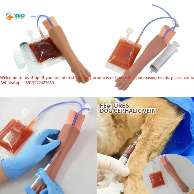 Realistic Simulation for Students and Veterinarians Canine IV Draw Leg Veterinary Dog Practice CE/ISO