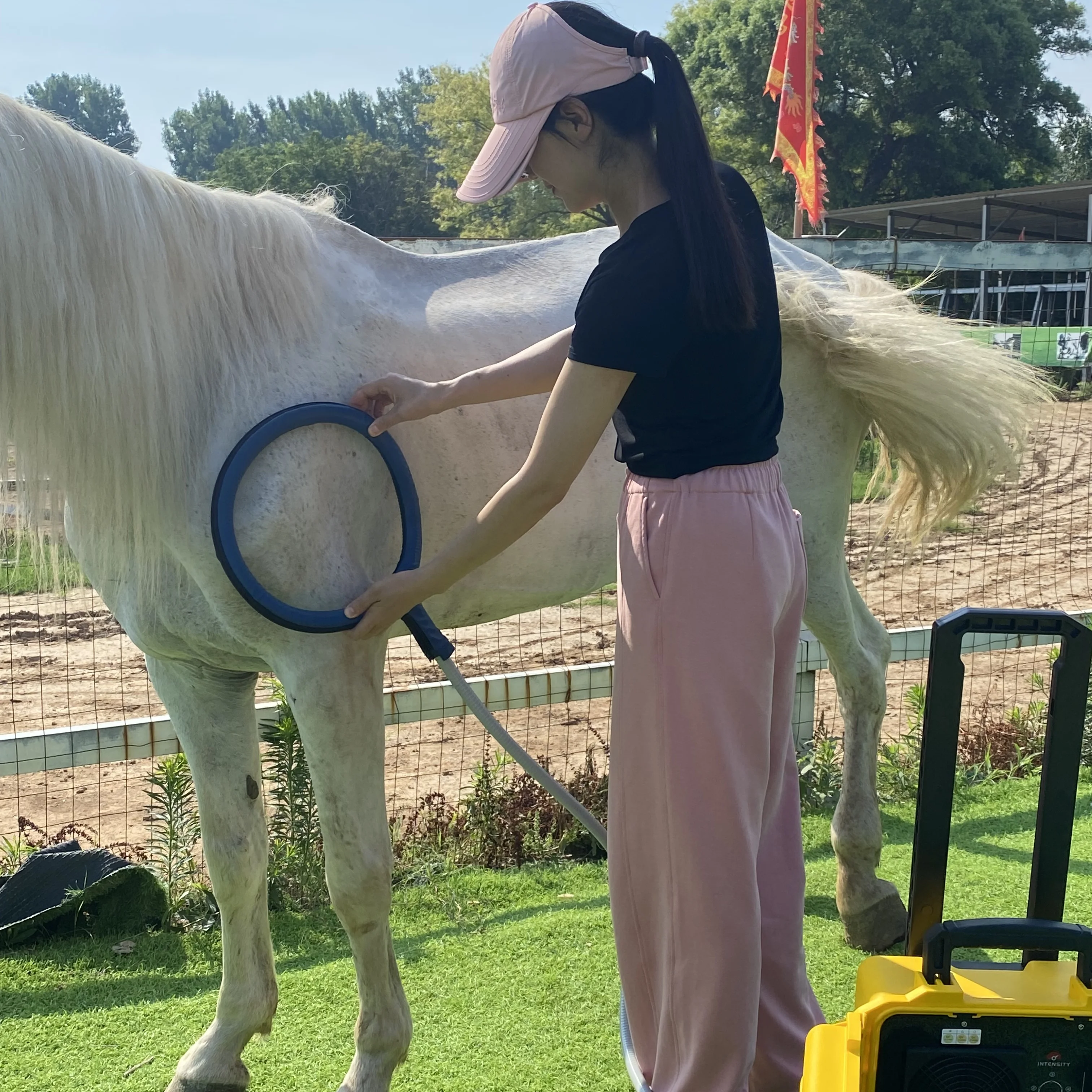 La bucle PEMF para el cuidado de la salud del caballo mejora la niñera de caballos y la máquina equina de terapia de magnetoterapia de cólicos