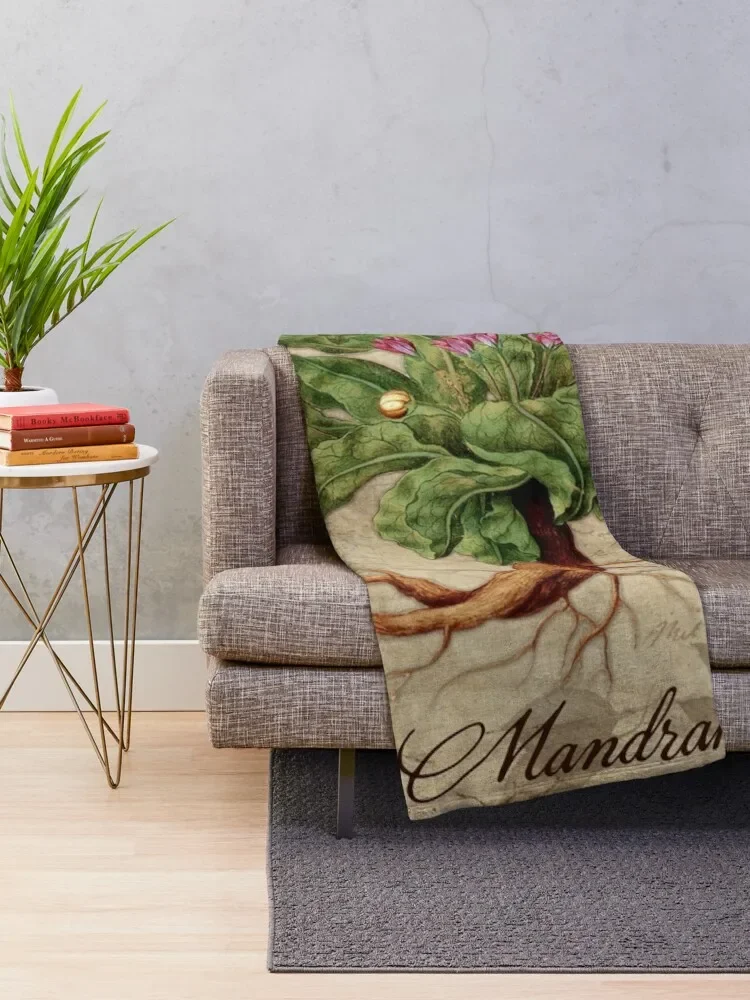 Mandrake Plant Vintage Botanicals Garden collection Throw Blanket Cute Plaid blankets and throws Bed Fashionable Blankets