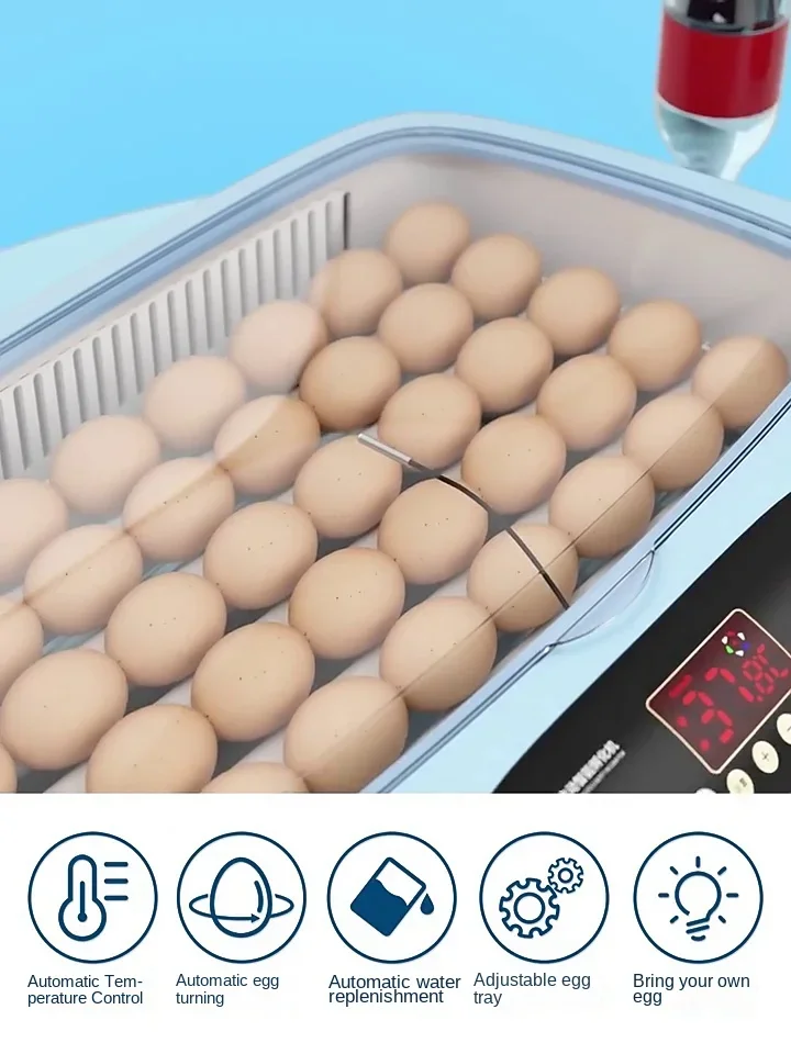 Incubator: small household incubator, automatic intelligent incubator, chick, duck, goose, pigeon, parrot, egg, egg incubator