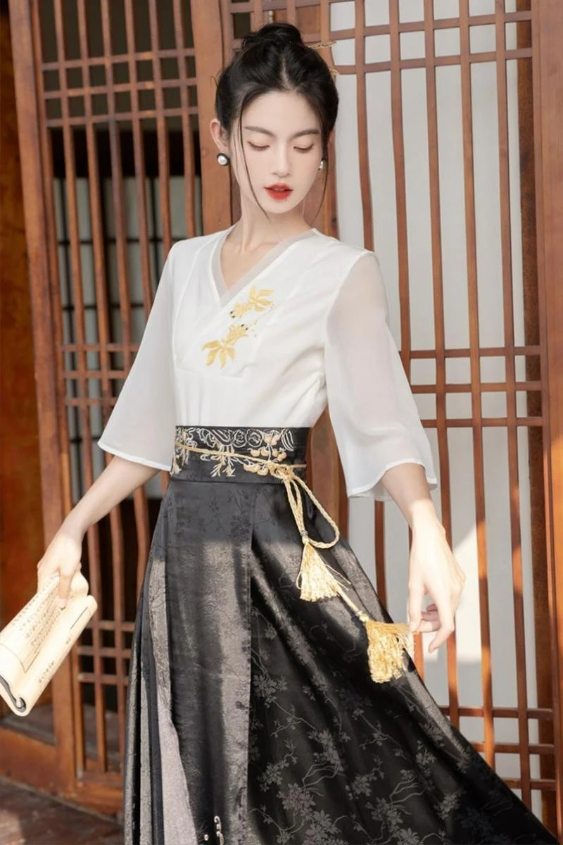 تنورة وجه حصان من سلالة مينغ الصينية التقليدية للنساء ، مجموعة هانفو على الطراز العتيق ، فستان رقص شعبي للسيدات ، عتيق ،