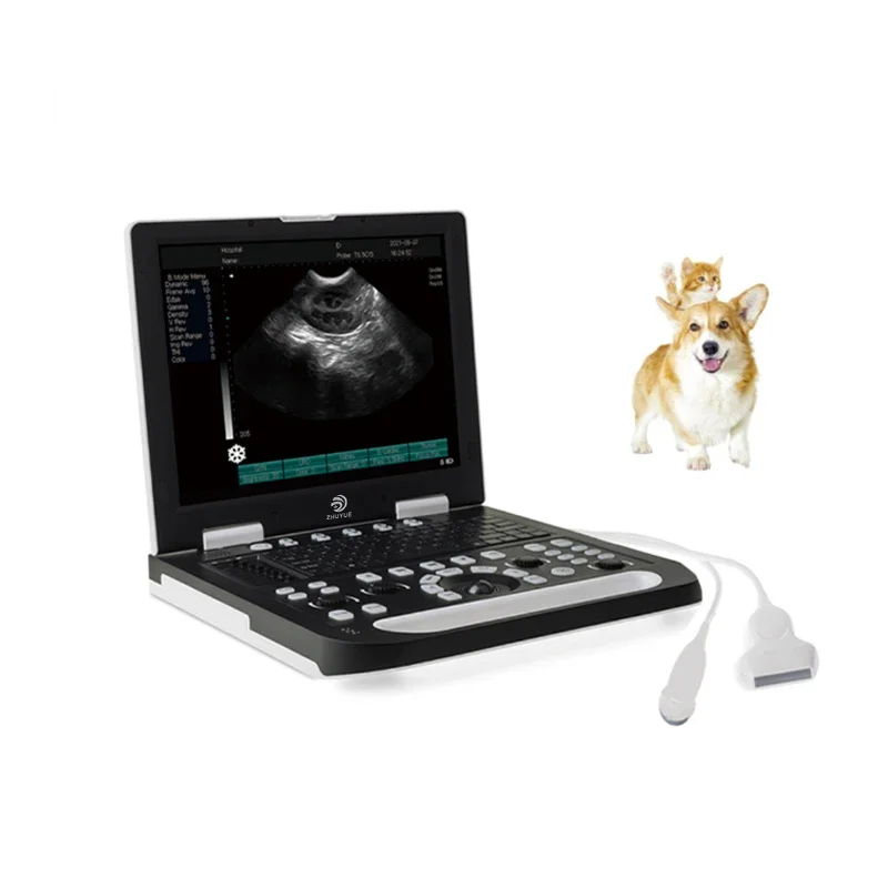 Ultrasound machine color doppler 3d 4d portable veterinary ultrasound machine