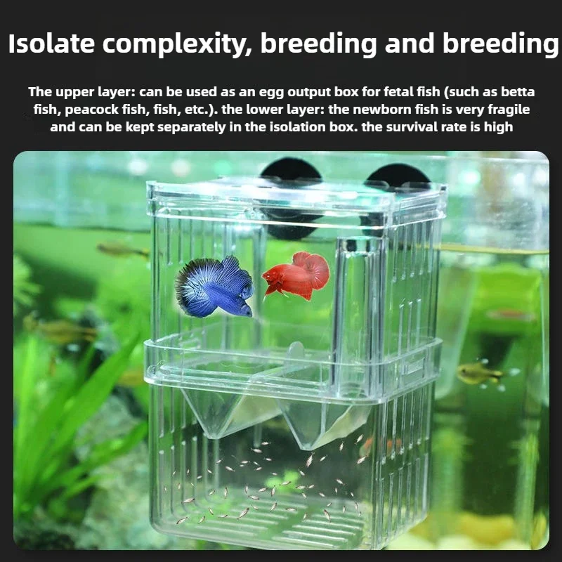 betta fish breeding box Aquarium DescriptionThis item is a fish breeding box Can you breed betta fish