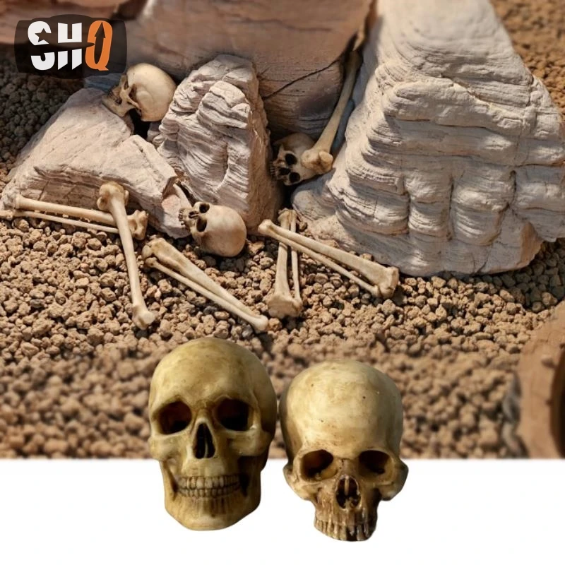 1/12 Scale Simulation Human Skeleton Skull Model Head Carving Fit  Aquarium Terrarium Aquascape Halloween Skeleton DIY New 2024