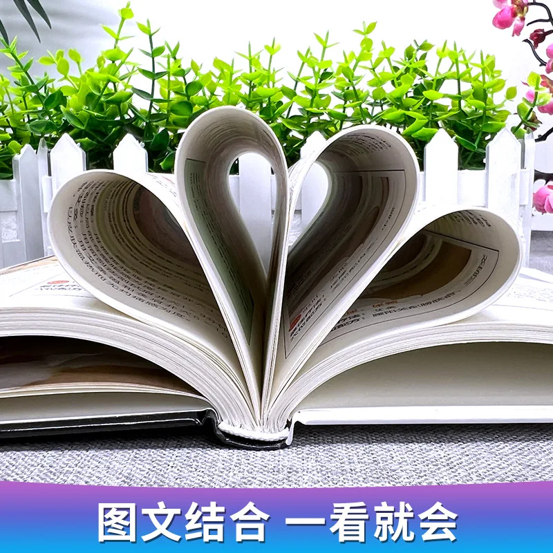 Traditional Chinese Medicine Wellness Books-Acupoint Massage, Tuina, Foot Bath Ear Massage Chinese Medicine Natural Therapy