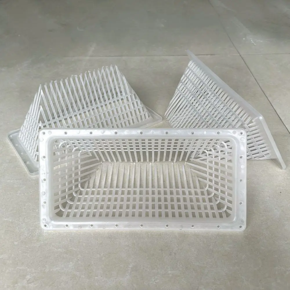 Durable Plastic Funnel Trap Entry Replacement Catching Eel Crab Shrimp Essential Fishing Net Tackle Accessory