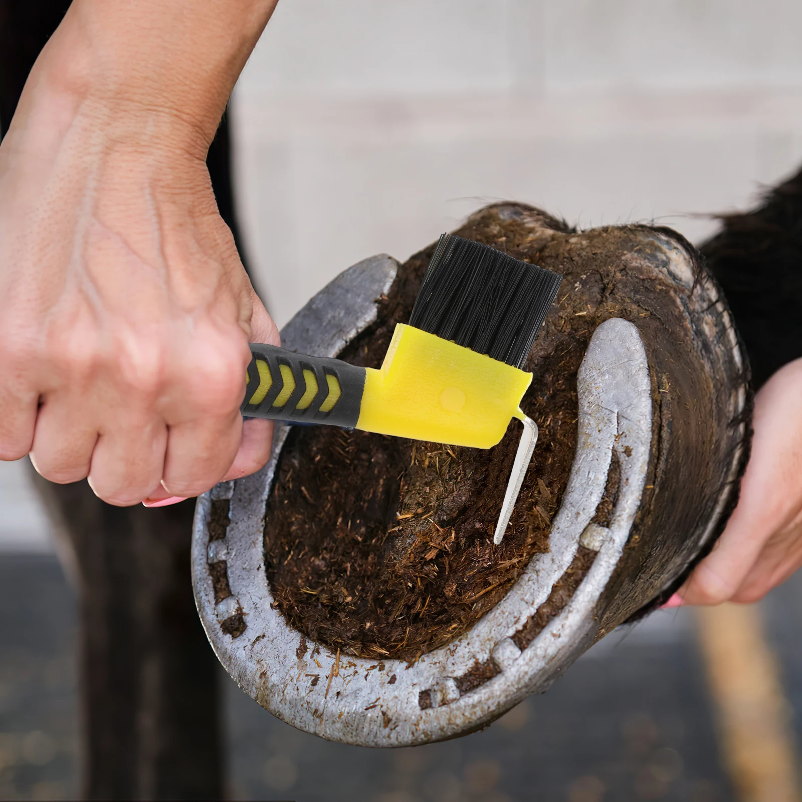 

2 PCS Horseshoe Cleaning Brush Equipment Hoof for Grooming Pick with Equestrian Tool Tools