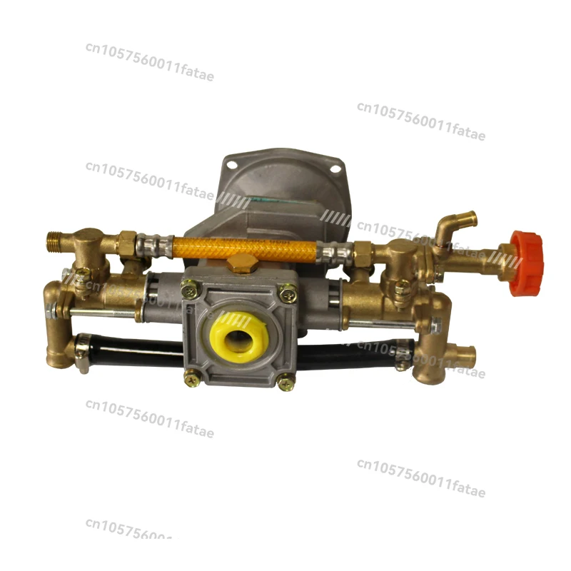 

Pump Head GX35 Spraying Machine Water Pump Engine Accessories High Pressure Agricultural Double Cylinder Spraying Plunger Pump