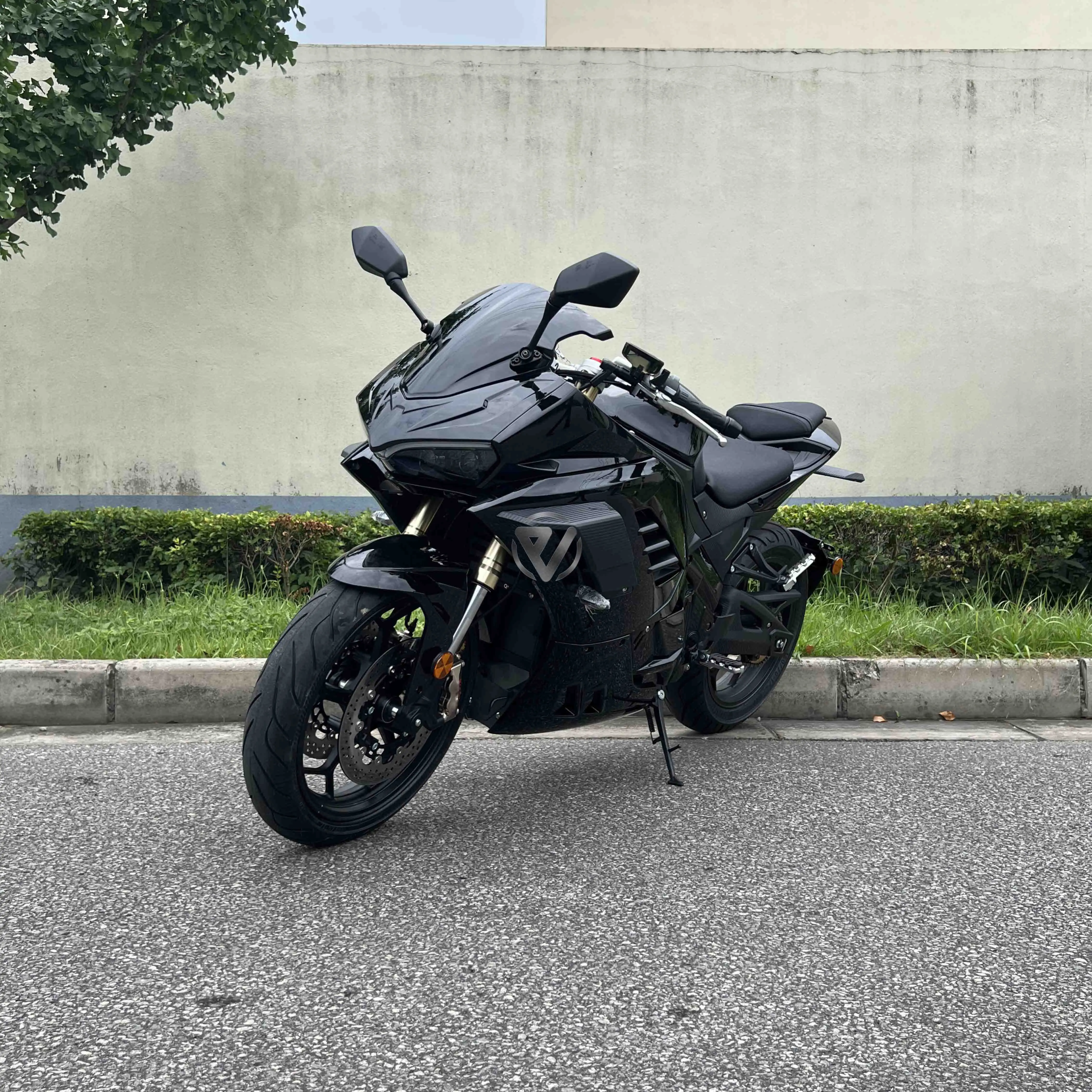 Certified EEC COC Legal Register 5000W Panigale Go 130km/h Racing Electric Motorcycle
