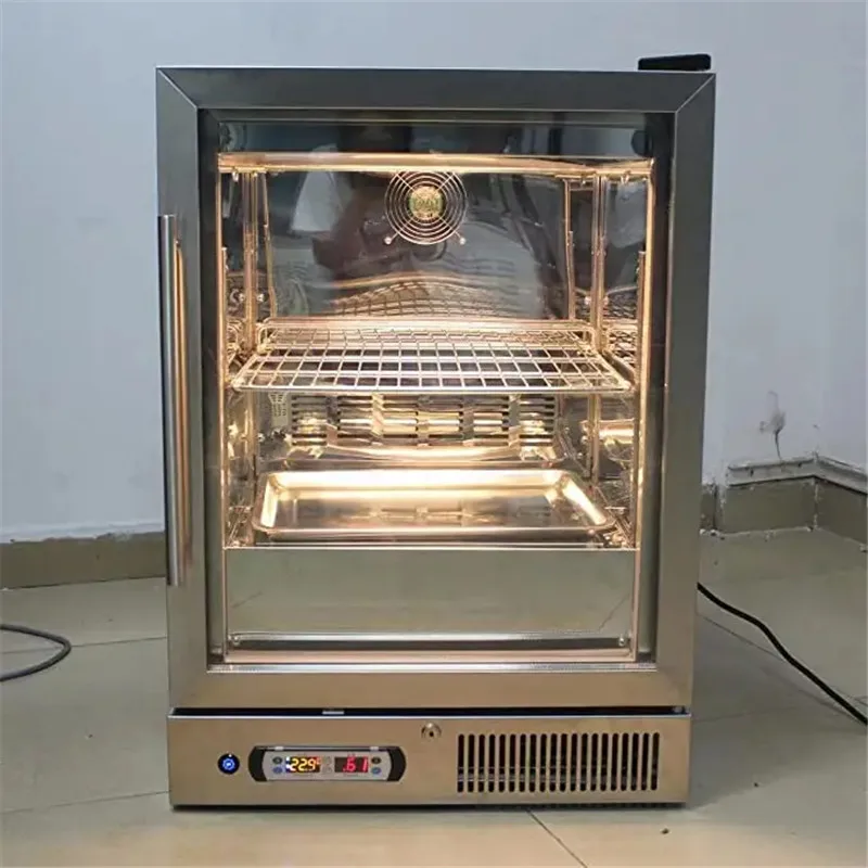 Small Dry Ager Meat Refrigerator Aging Cabinet Steak Ager Dry Aged Beef Cooler Fridge Temperature Control Display Showcase