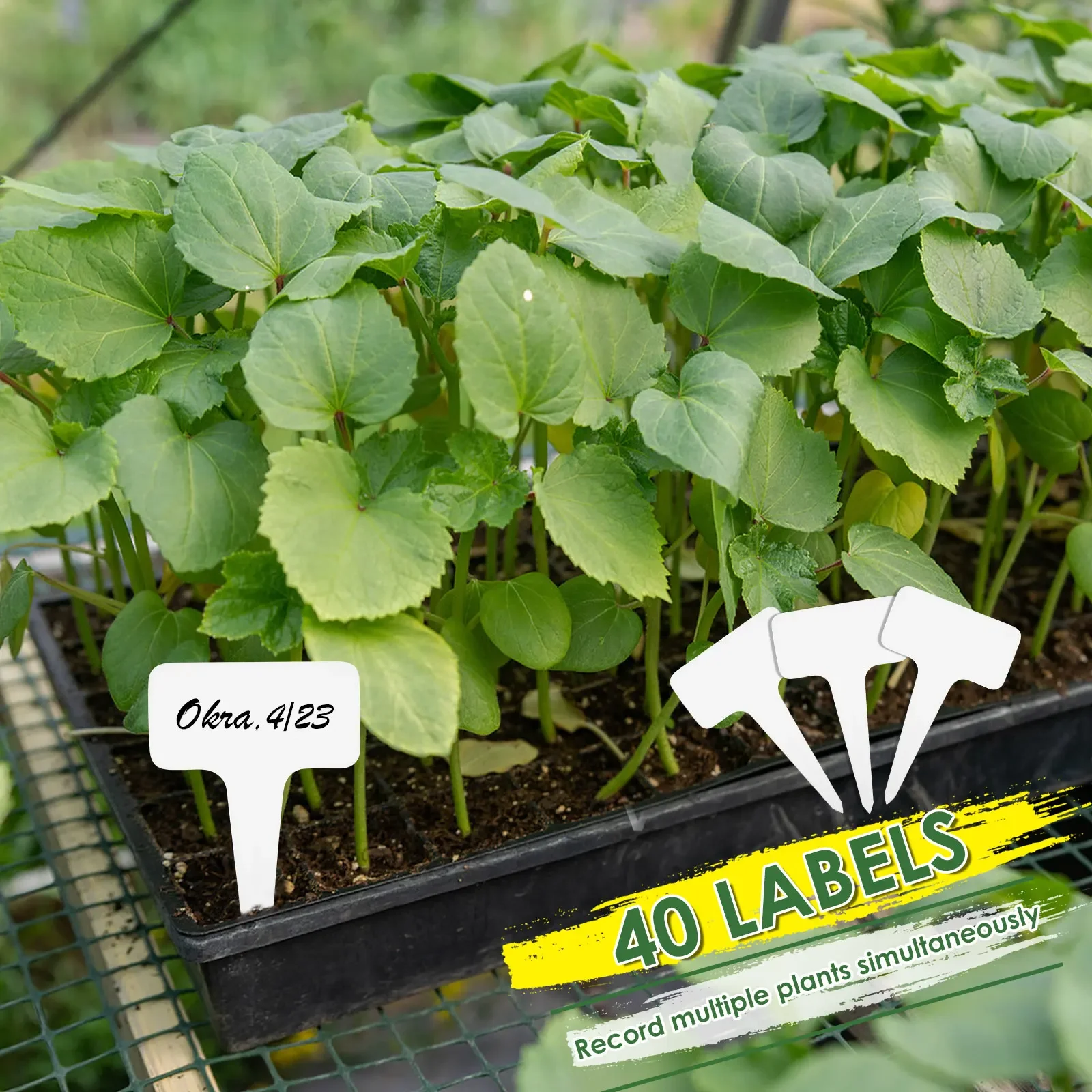 40 قطعة من إسفنجات نمو البذور للحديقة إسفنجة بداية الشتلات المائية مع تسميات النباتات والملقط استبدال إسفنجات نمو الجذر