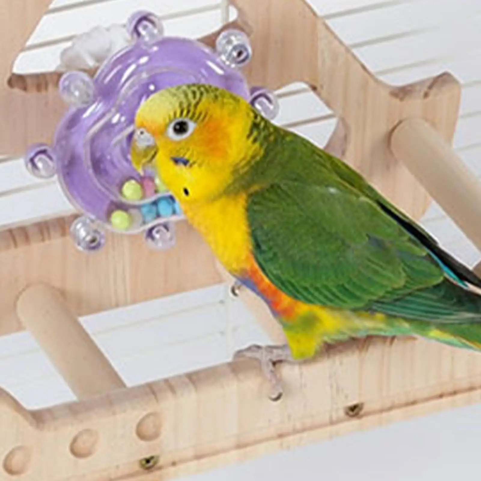 

Качели для птиц для клетки, деревянные качели-качалки, игрушки для птиц для домашних животных, колибри, игры на заднем дворе, упражнения для обогащения, скалолазание, снятие