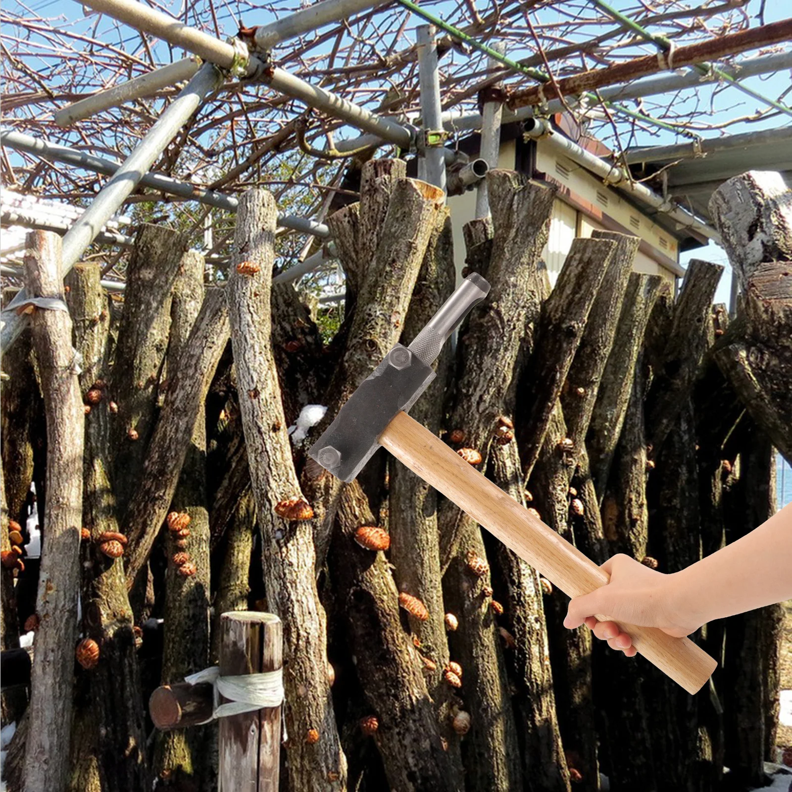 

Mushroom Hammer Double Head Planting Puncher Log Inoculation Tool Spawn Hammer Log Punching Tool Mushroom Planting Puncher