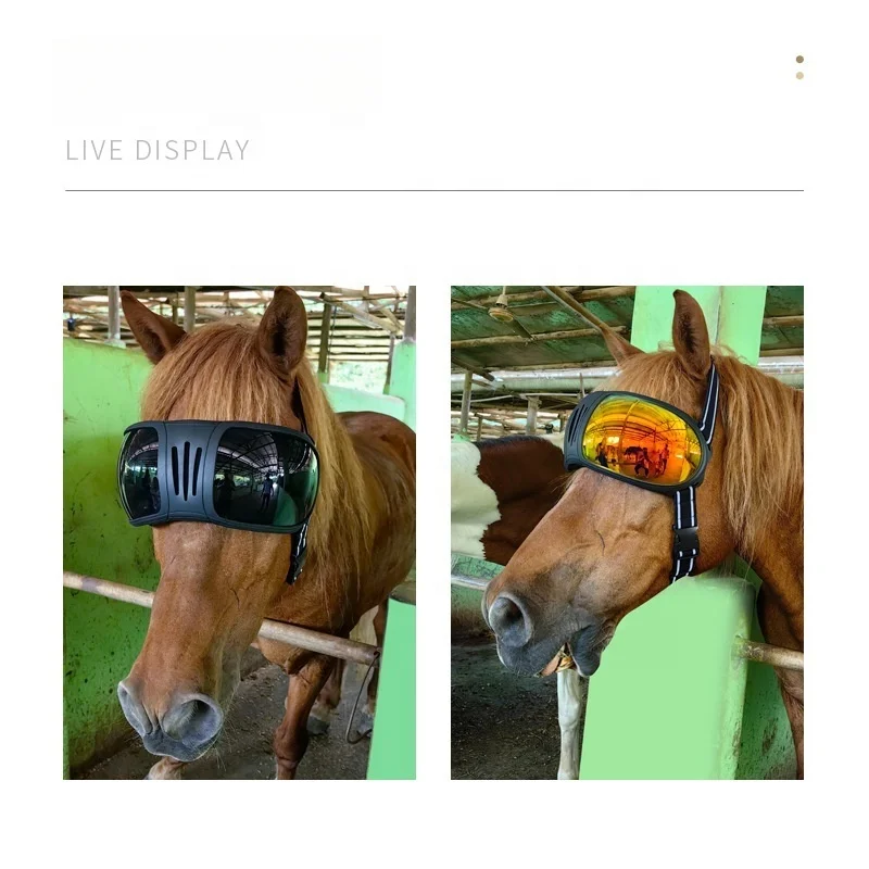 2025 Fashion Horse Racing Pet Glasses UV Windproof Spot Sports Pet Riding Goggles Accessories for Horse Equipment