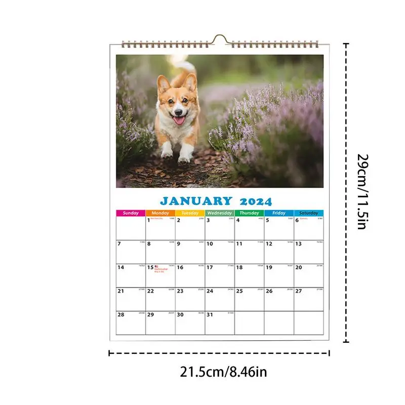 2024 Dog Calendar For Wall Funny Daily Cat Calendar A4 Wall Calendar Dog Calendar Daily Wall Decor For Apartment Dormitory