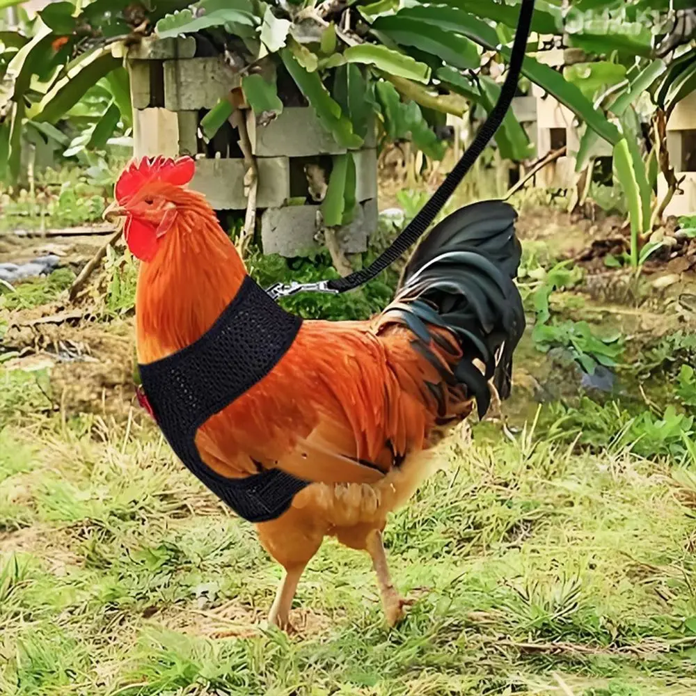 Portable Breathable Adjustable Duck Chicken Harness Matching Collars Bow Chicken Vest Comfortable Soft Duck Vest Chicken