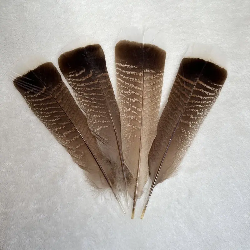 Natural Turkey Tail Feather 25-30CM/10-12inch For Headwear Clothing Hats Party Plumas DIY Carnival Wedding Decoration