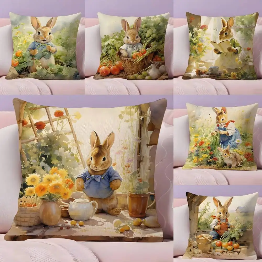 

ANIME P-Peter R-Rabbit Pillow Case Ultra Soft Skin Friendly Fabric Cloud Like Comfort & Concealed Zipper