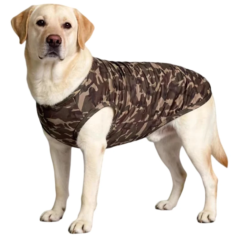 Golden Retriever Cl…