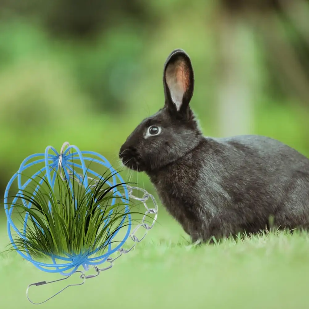 Useful Fine Workmanship Rabbit Hamster Grass Ball Rack Feeder Round Playing Rabbit Grass Ball Small Animal Supplies