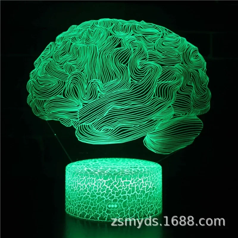 2024 New Brain Heart Organ Series 3D Strange Night Light LED Stereo Lamp Modeling Lamp USB Featured Bedside Table Lamp Hot