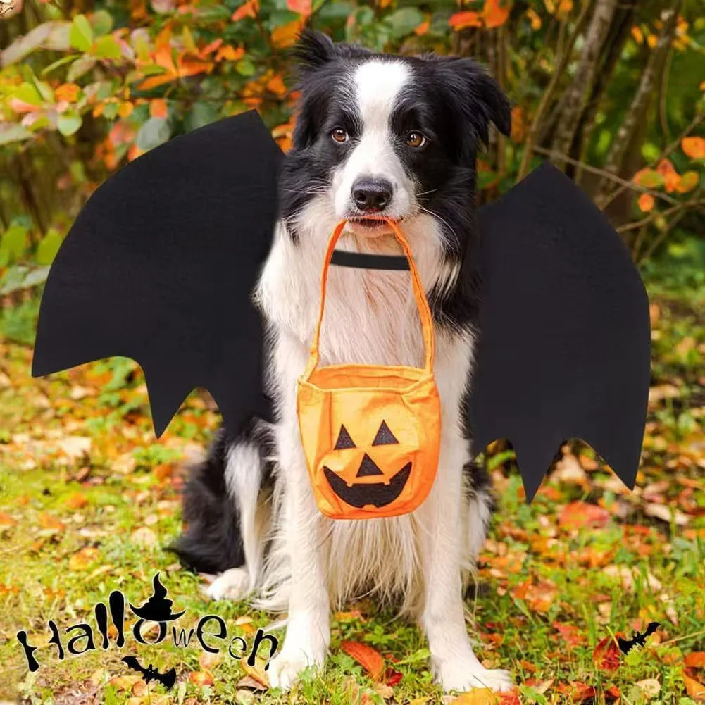 Fledermausflügel-Halloween-Haustierkostüm mit Kürbisklängeln, lustiges Katzen- und Hundekostüm, Verkleidung für Cosplay-Partys, Tierflügel-Accessoire