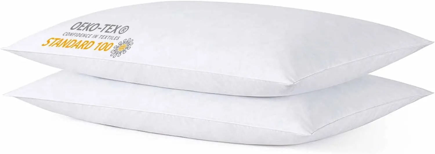 

Ultra Soft Thin Pillow Set of 2 for Stomach Back Side Sleepers, Machine Washable 20x26 Inches