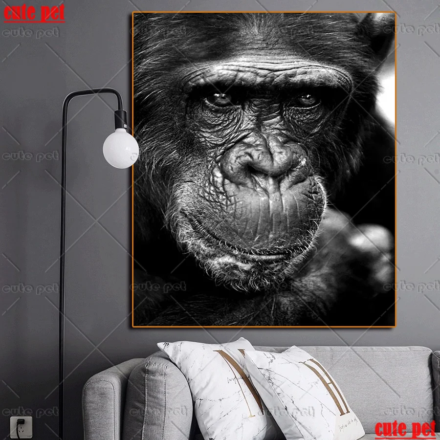 5D DIY Diamond Painting  Animal orangutan Hot selling home art cross stitch full square round Drill embroidery Apes mosaic decor