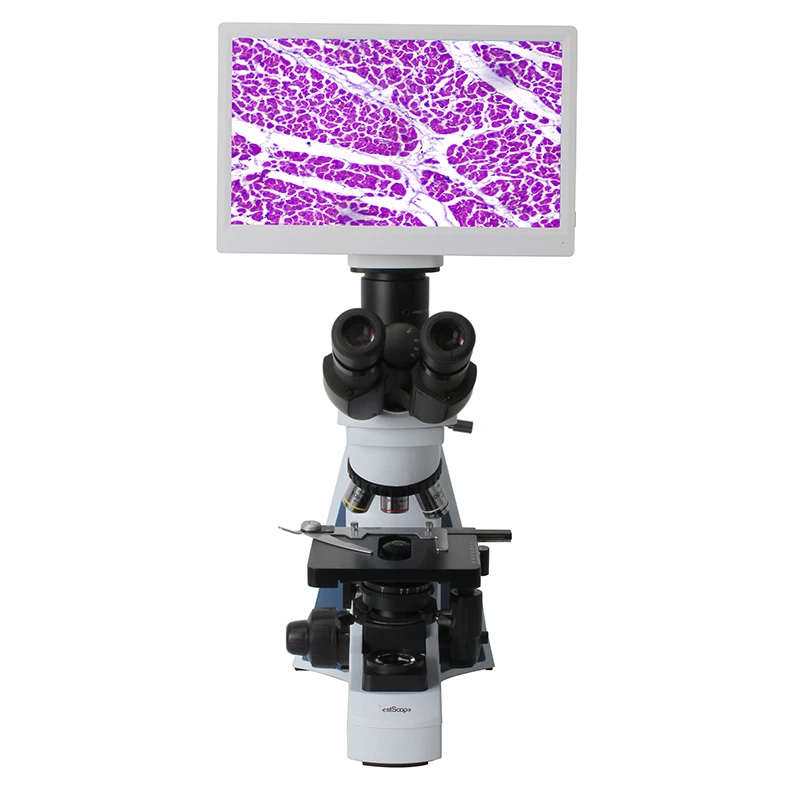 Full HD Retinal LCD Digital Biological Microscope BestScope BLM2-241 6.0MP 11.6 Inch 1080p