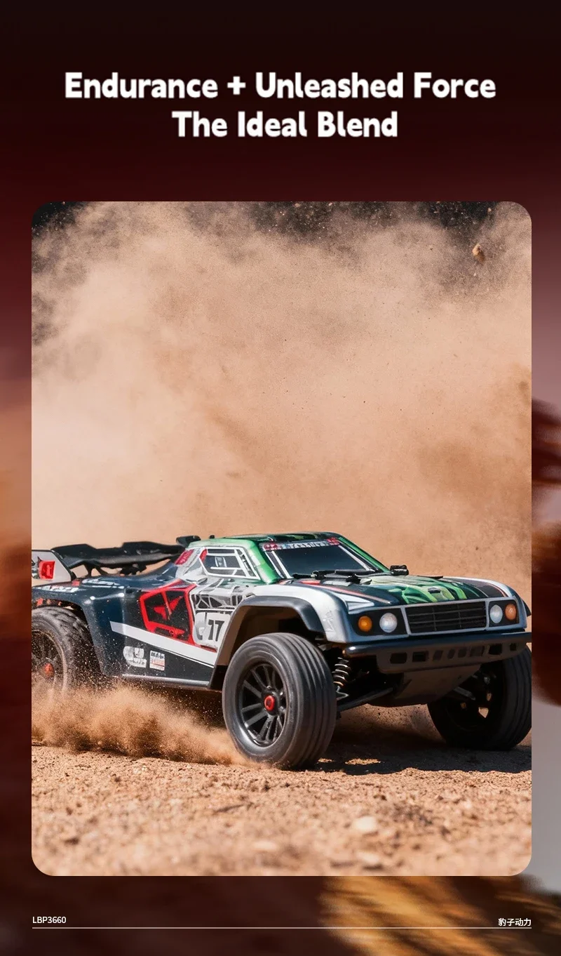 LEOPARD LBP3650 LBP3660 LBP3665 LBP3674 4P Sensorless Brushless Motor High Torque High Power for 1/8 1/10 RC Car Monster Truck