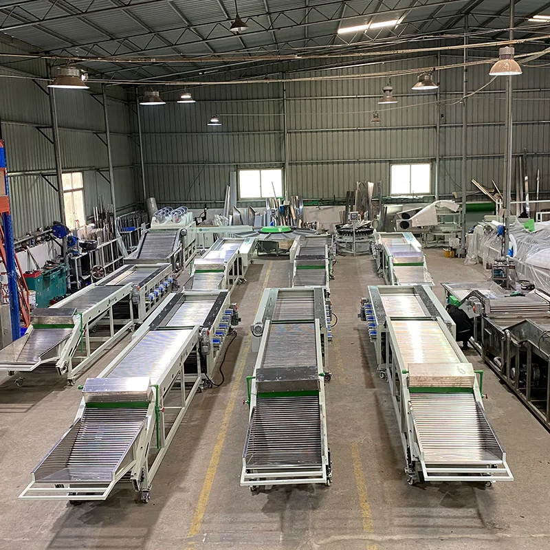 آلة تصنيف الطماطم الكرزية الآلية الدقيقة المتقدمة نباتات معالجة الطعام 304 SS #6