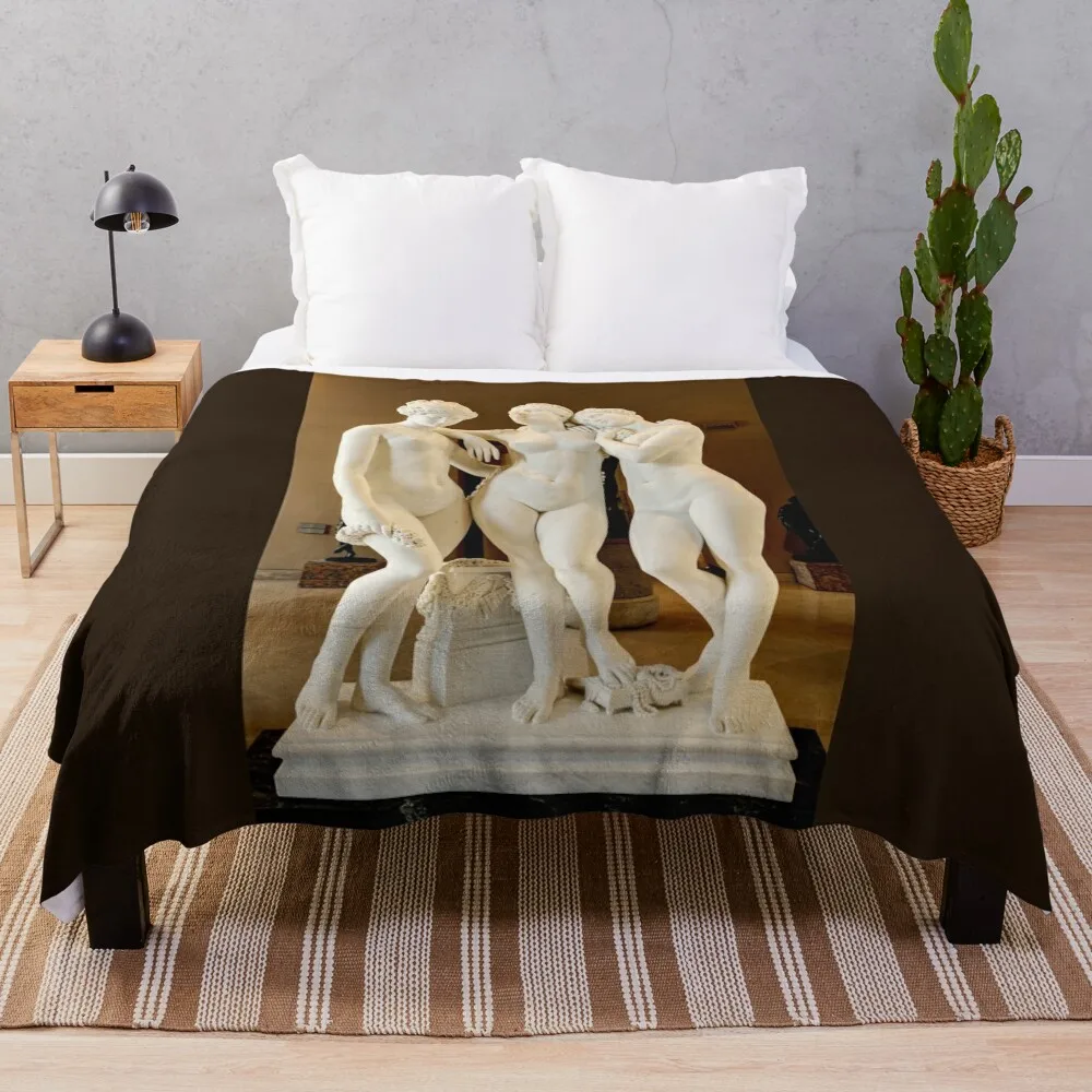 

The Three Graces by Pradier Throw Blanket Furry blankets ands Camping Weighted Blankets