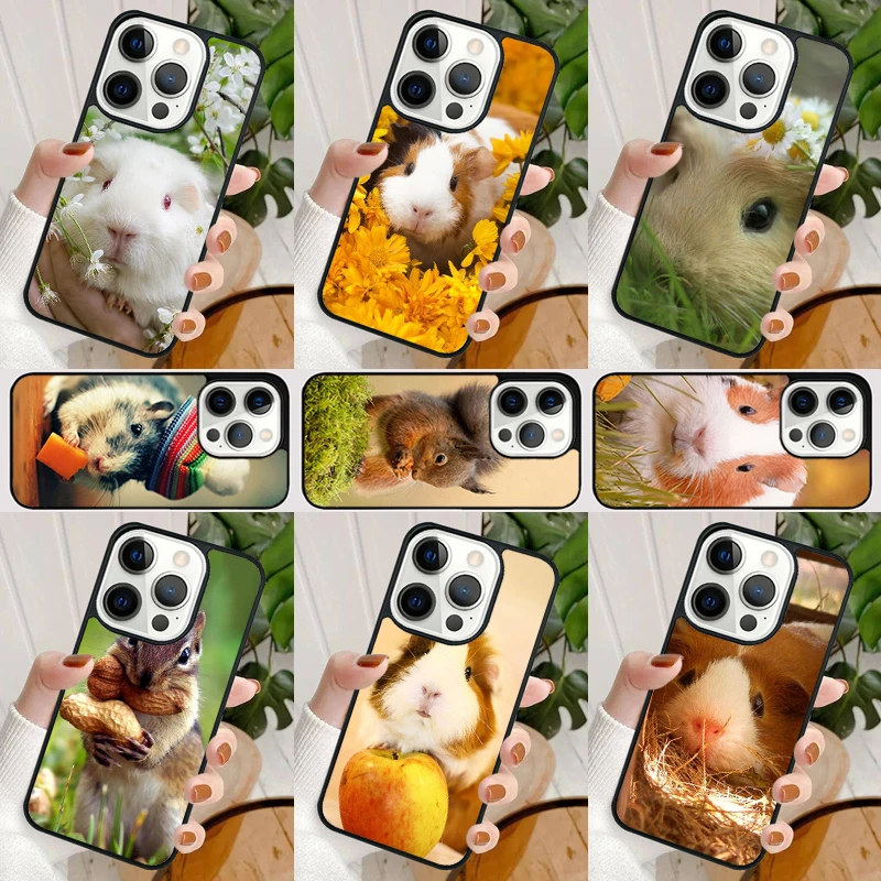 squirrel Guinea Pig Mouse Phone Case For iPhone 16 15 SE2020 14 Max 6 7 8 Plus 11 12 13 Pro Max Mini Phone Cover coque