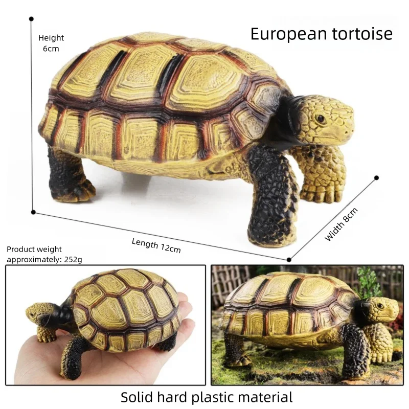 Oenux Simulations-Schildkröten-Set: Alligator, Galapagos-Schildkröte, Chinesische Weichschildkröte Figuren und Puppen – Detail 15