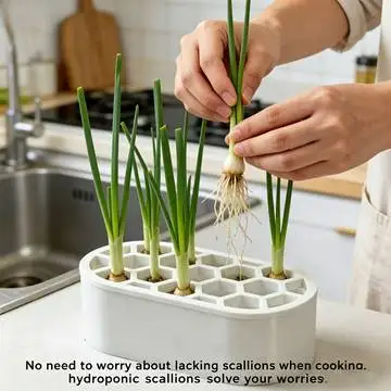 4 pieces hydroponic green onion planting Plants and vegetables containers,suitable for small-sized apartments and beginners