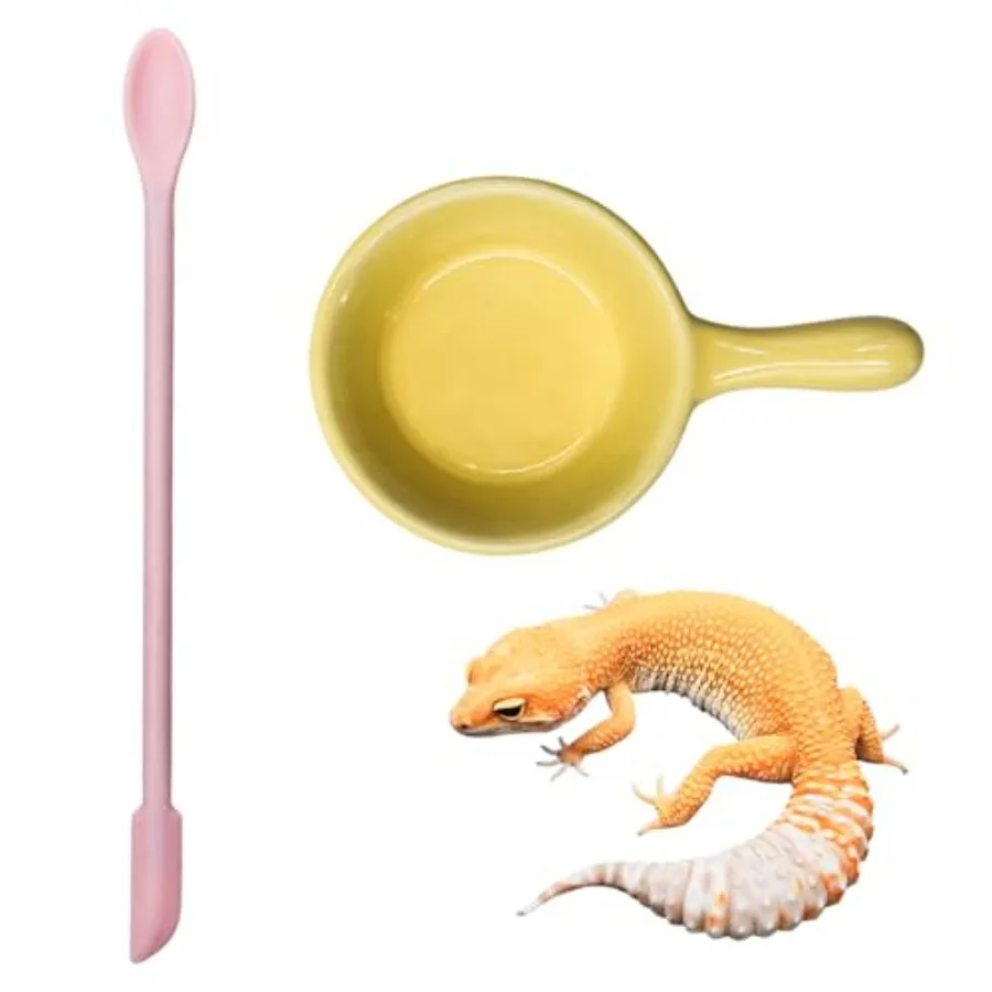 

Аксессуары Gecko, керамическая миска для еды с силиконовой ложкой для пюре, рептилий, блюдо для чухлатого леопарда