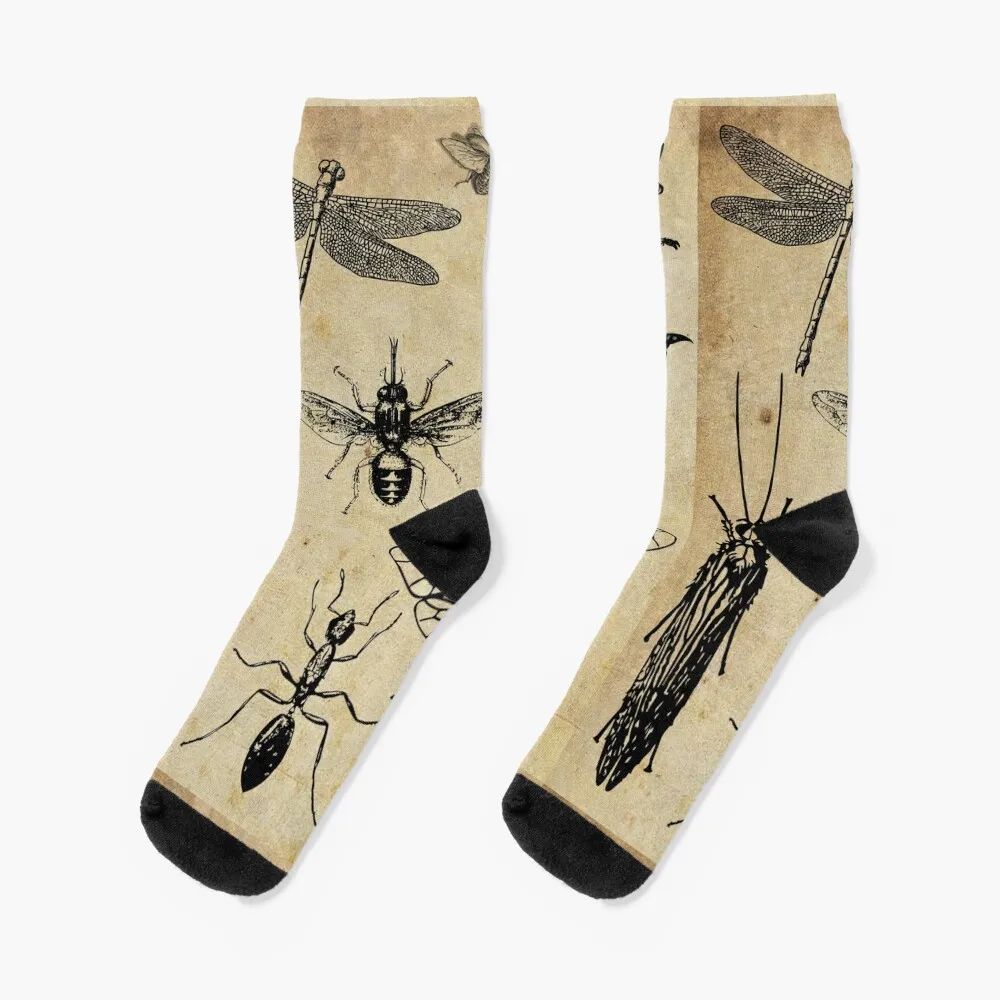 

Copy of Vintage butterfly on ancien paper Socks cute hiphop Men's Socks Luxury Women's