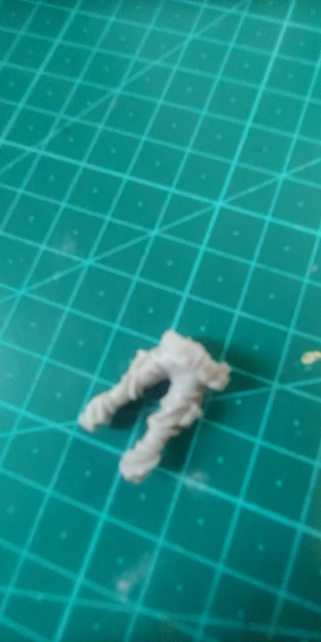 Buyer photo of this resin kit