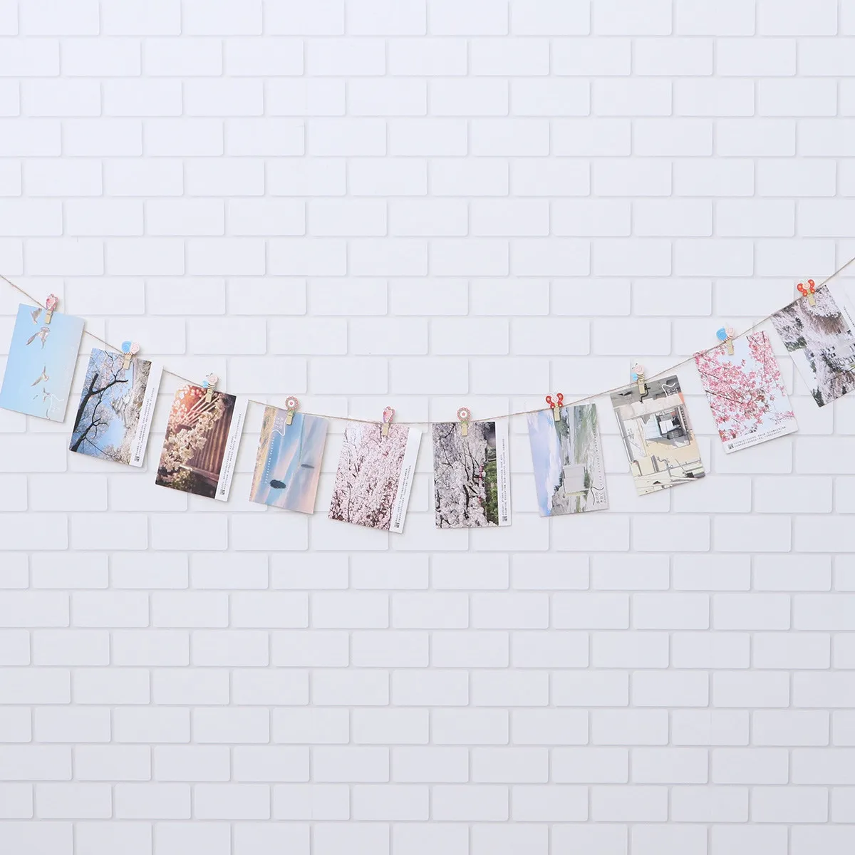 10Pcs Wooden Photo Clips Set Natural Wood Memo Clips for Photos Notes Cards DIY Home Office Cafe Wedding Easter Decor Gift Snail
