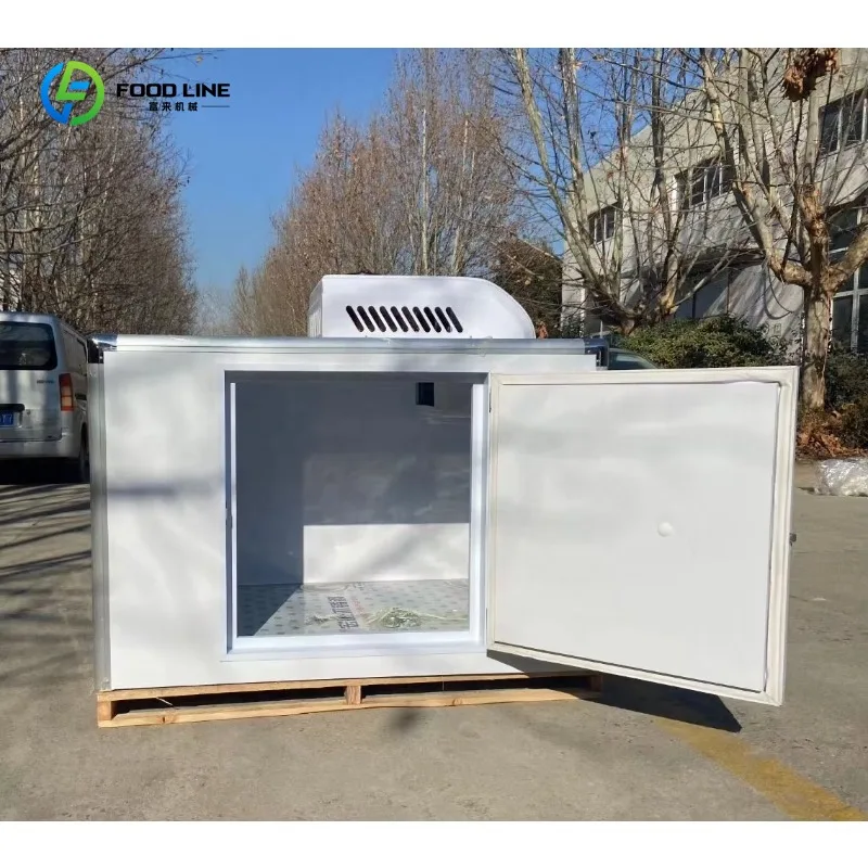Customized New Energy Vehicle Refrigerator DC Freezer with 12V/48V/60V/72V/96V Voltage for Cold Room Storage Transportation